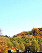wm555_08.jpg
